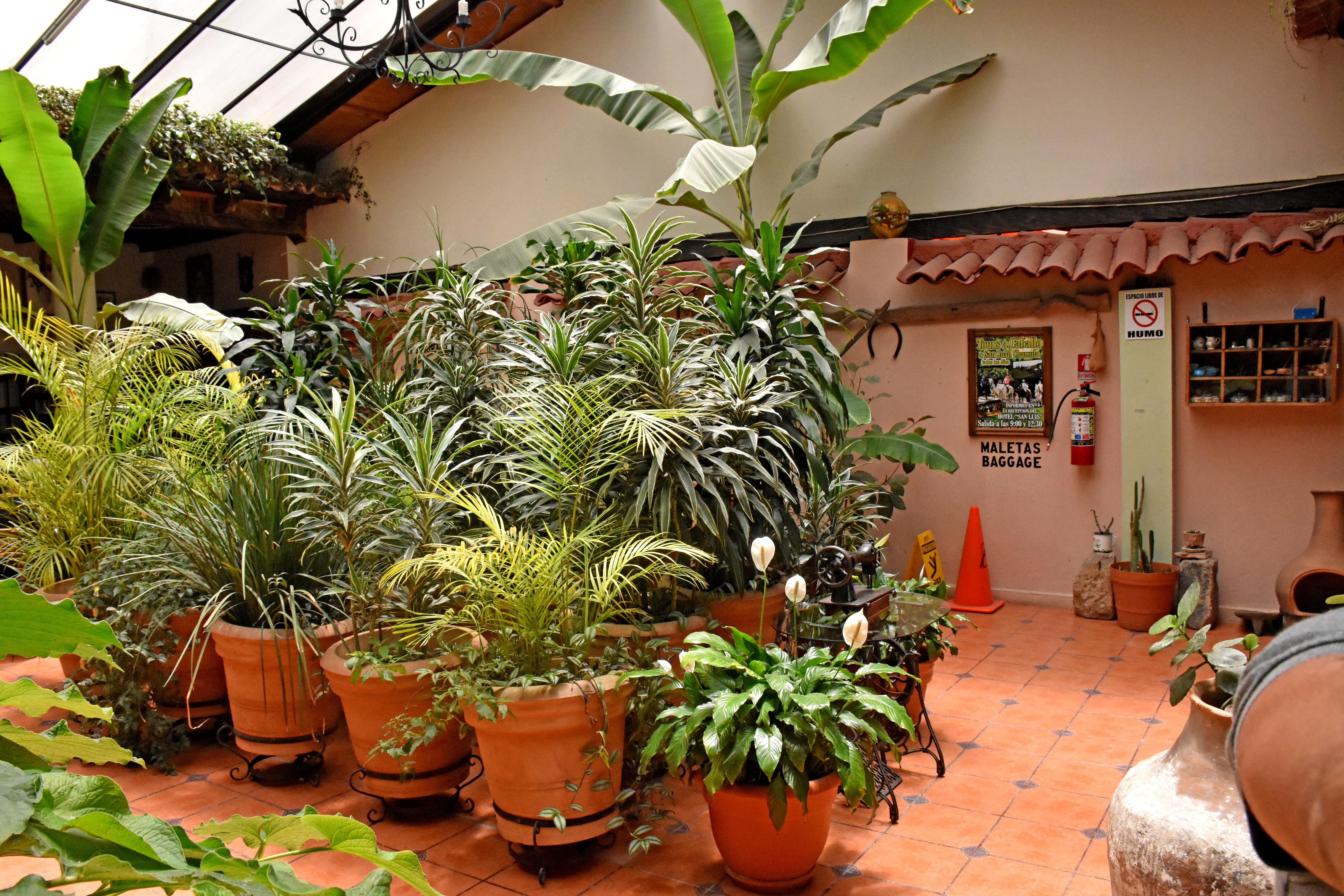 Hotel San Luis San Cristobal de las Casas Exterior photo