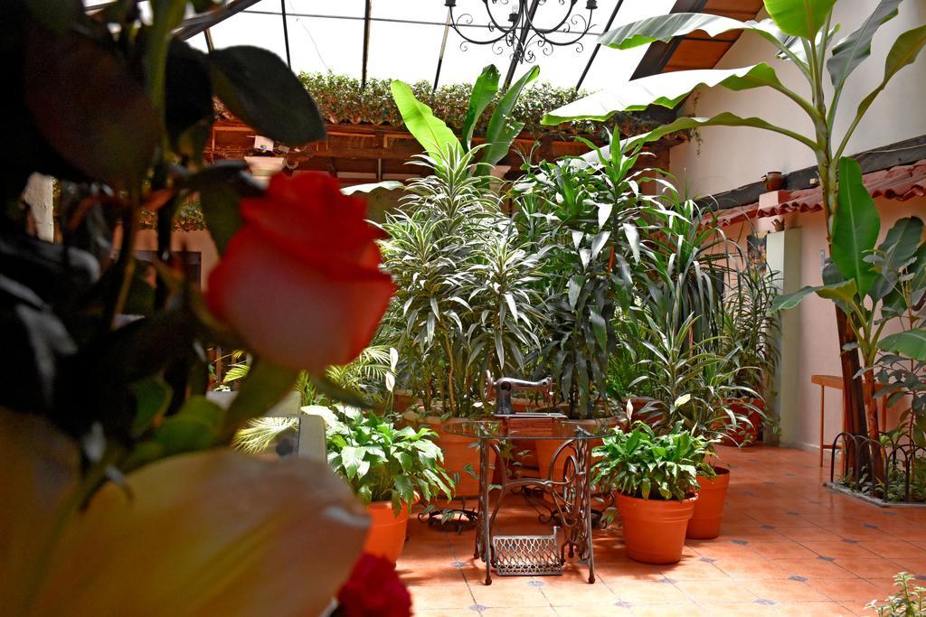 Hotel San Luis San Cristobal de las Casas Exterior photo